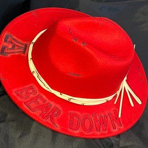 COPY - custom UofA hat